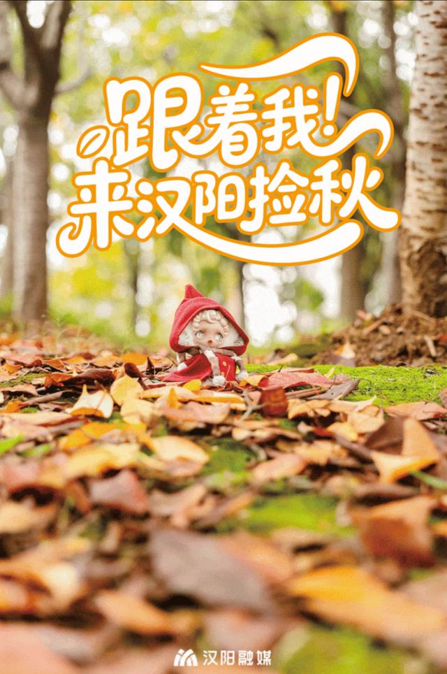 汉阳的秋天也太会了，“捡秋”比赏秋更上瘾