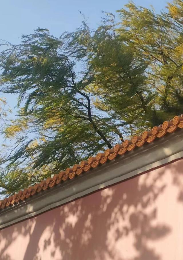 王林平随笔《周日路过地安门》