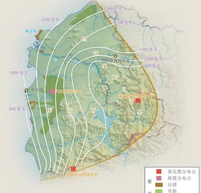 海南封关后不挤了！环岛解锁隐秘奇景，市井美食藏着真滋味