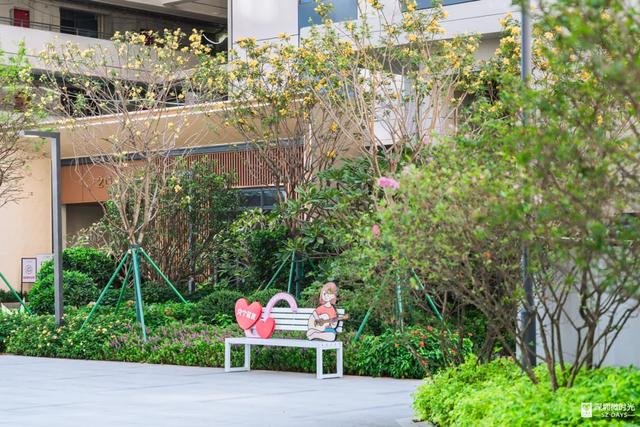 深圳的未来，为什么看前海？