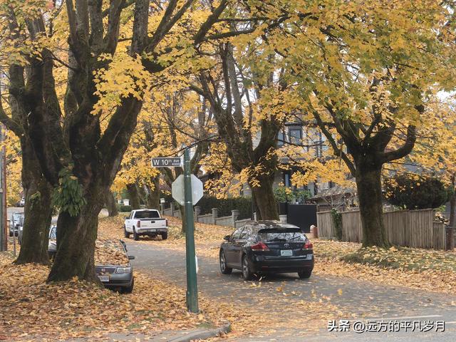 温哥华游记（五）