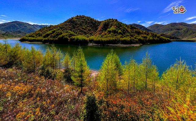 万花瞳｜限定版“彩林森林” 这是属于山城的冬日浪漫