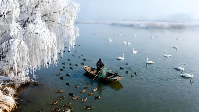 淮水凝寒浸古意 金英散馥入珠城 ——安徽蚌埠的初冬诗行