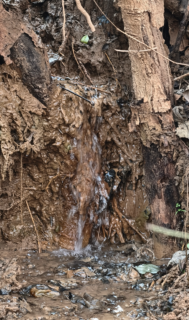 奇观！郑州南部多处历史泉眼集体复涌，形成温泉小河引围观