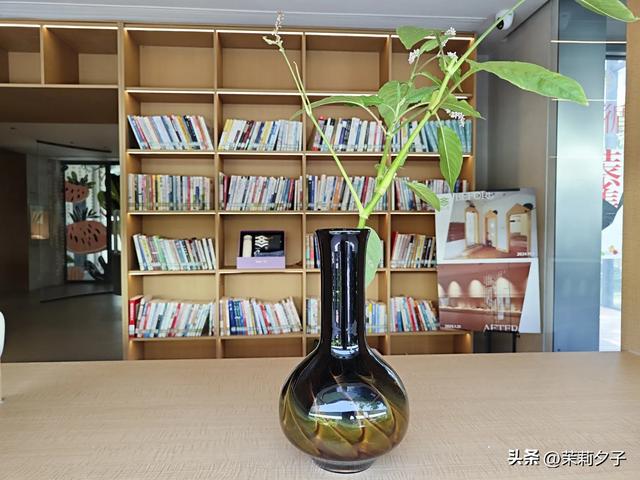 杭州旅游攻略看展逛博物馆老街菜市场换个城市走走停停文艺风