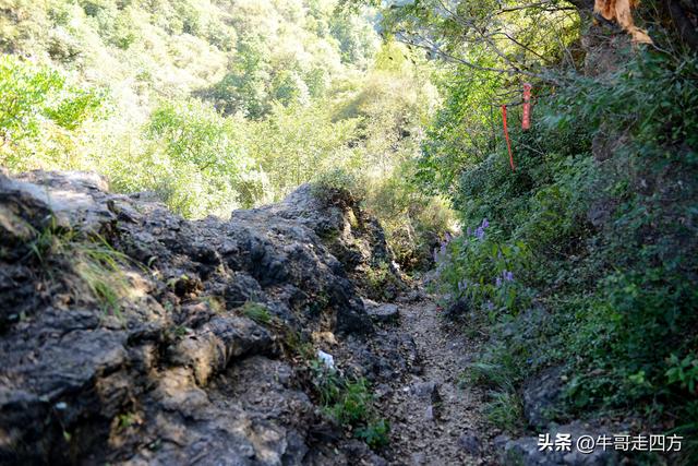延庆应梦寺（五）：山巅极目收千嶂，林海听风涤尘心