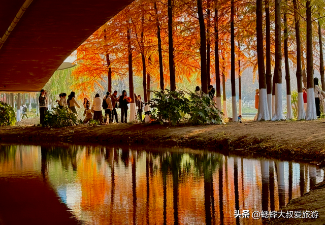 拥有王炸机位的浙江公园，其景“封神”，逛一圈，100％惬意！