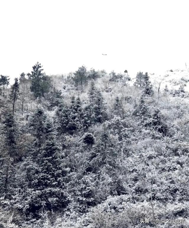 宁海：藏于宁波的宝藏小城，承包江南冬日的所有浪漫