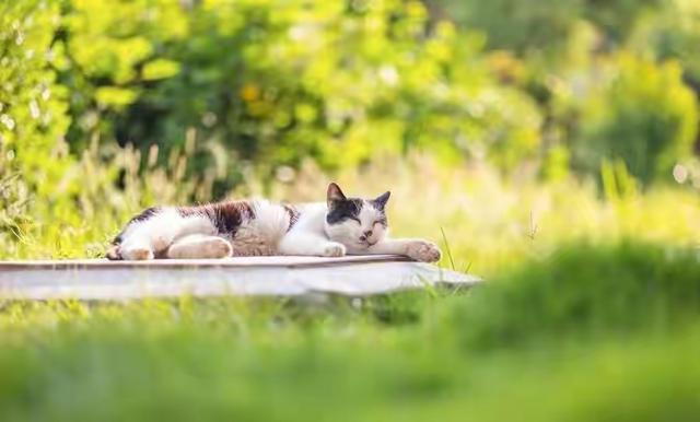 南京人奔走相告！世界级公园免费开放