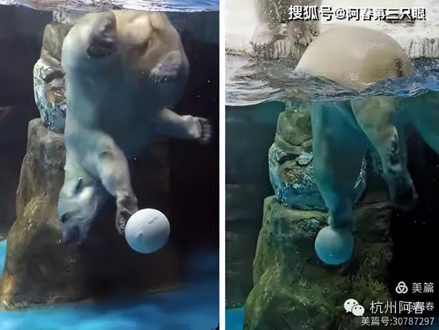 大连 之海洋世界