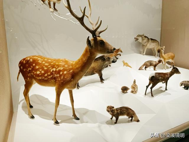 五九时节，观扬州大运河博物馆（下）