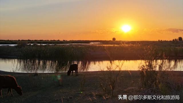 这就是杭锦旗“非来不可”的理由！
