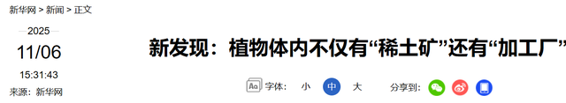 国运来了挡都挡不住！中国发现“可再生”稀土矿，反制再添新筹码