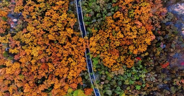 这个国庆来济宁！运河、古村、盘山公路承包你的快乐“驾”期