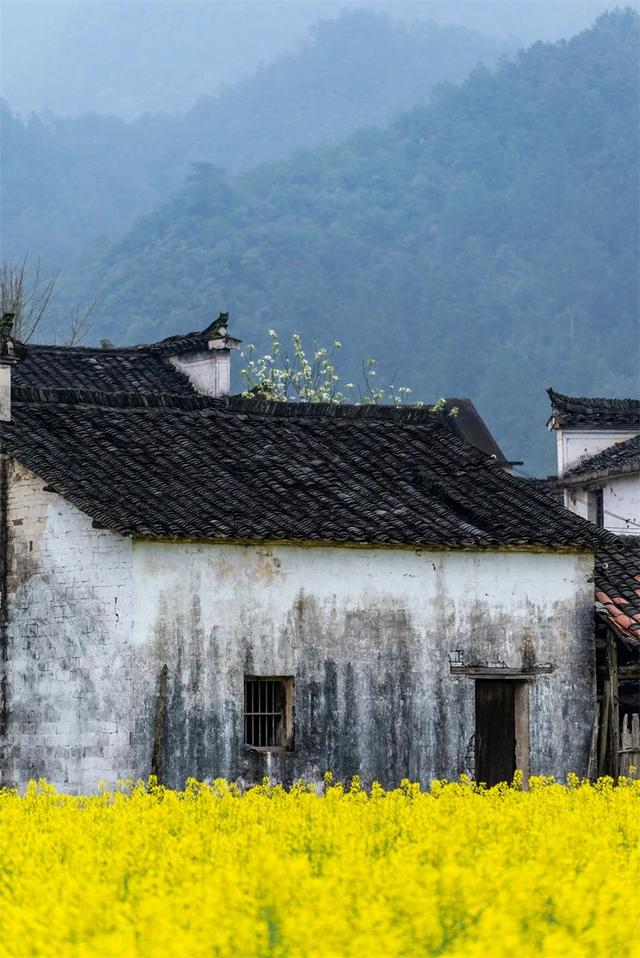 3、4月最应该去哪儿玩？推荐这12个赏春地，闭眼冲，错过再等一年