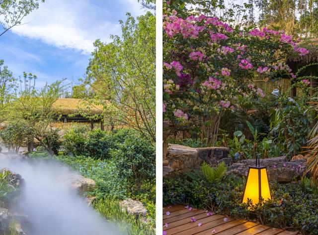 首次发布！弥勒2地2酒店上榜！