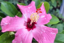 格局小的人，都会有这些行为，男女都一样，很卑劣也很无为图片