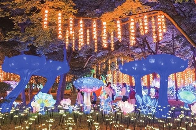 青岛灯会《海的女儿》灯组提前半小时“亮灯”