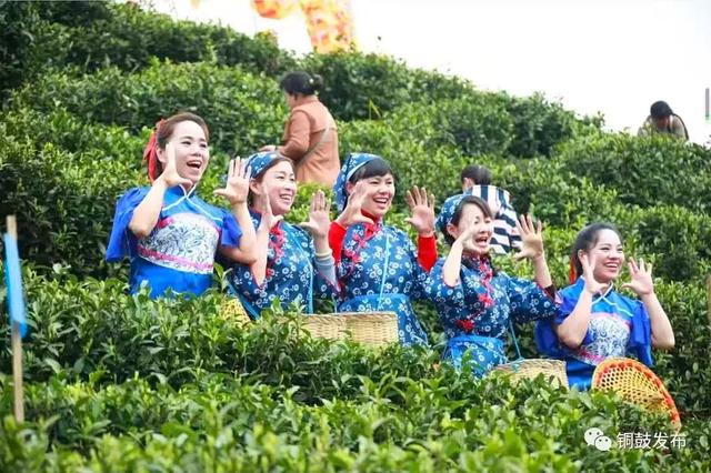 亲爱的铜鼓，邀“醴”与我“铜”行