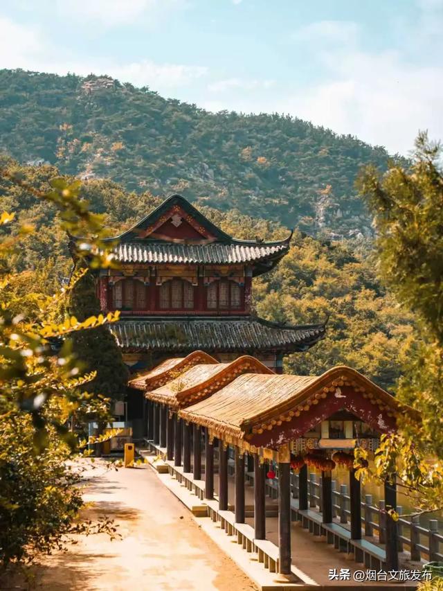 【乐游烟台】一眼惊艳！烟台这座小城最近太火了