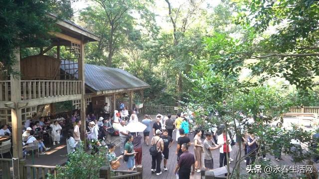 千人共赴永春牛姆林！永春旅发组织厦漳泉龙岩游客体验非遗盛宴