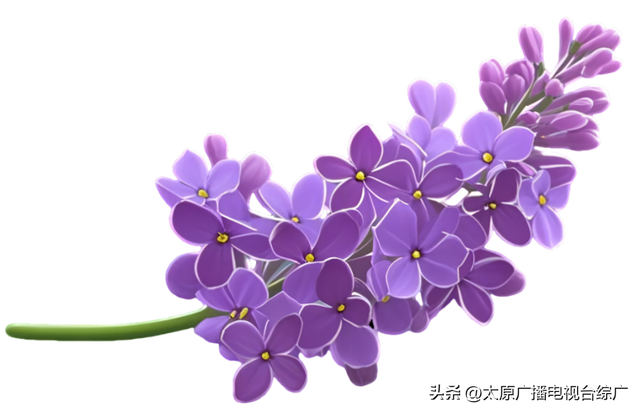 山西大学大同校区官方网站正式上线！