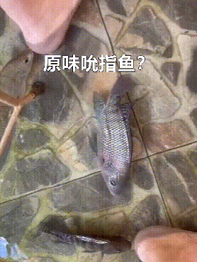“姑娘，不是什么照片都能随便发的！”哈哈哈亮点都看到了！