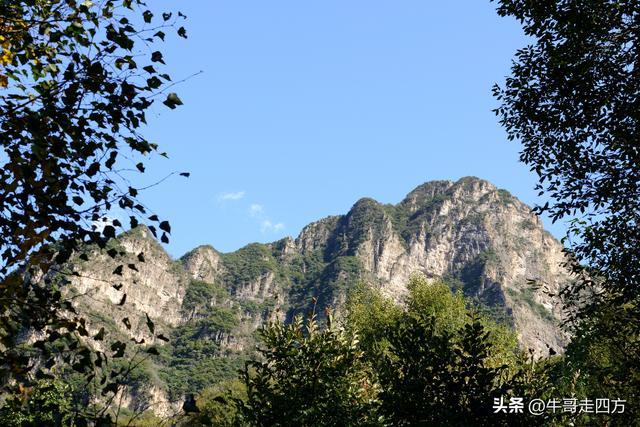 延庆应梦寺（五）：山巅极目收千嶂，林海听风涤尘心