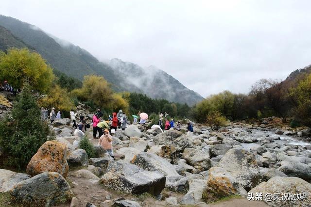 天祝冰沟河景区：秋色引客来 云海添韵味​