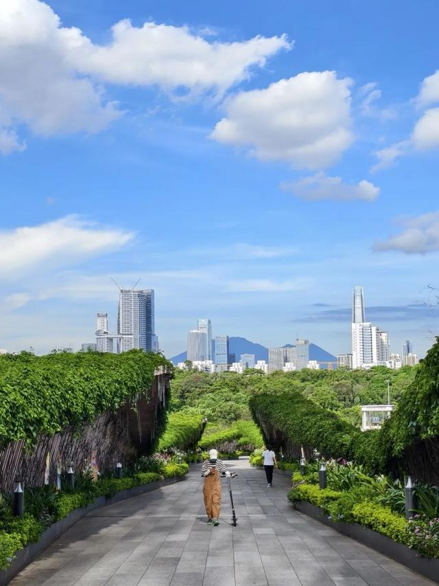 月底开业！深圳首家市内免税店来了！