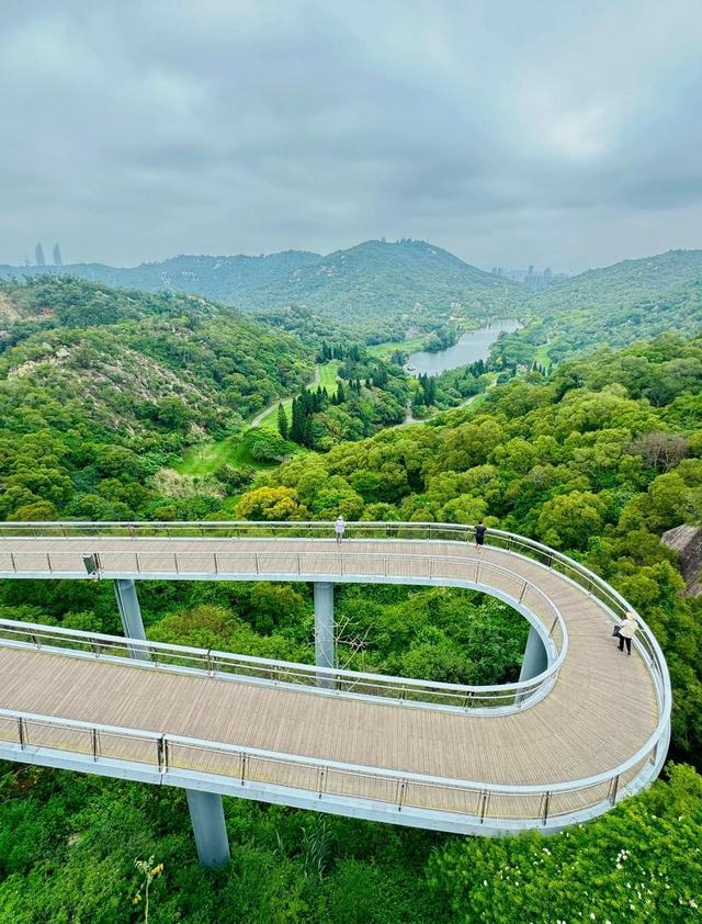 厦门岛内爬山精选，6大登高胜地全攻略，仙岳山、东坪山是好选择