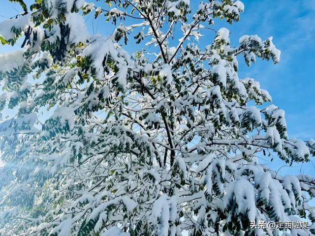 安定区：初雪漫山 与秋色撞个满怀
