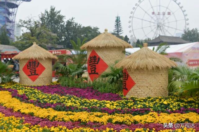 争奇斗艳！天津人别错过这最后一波“顶流花海”