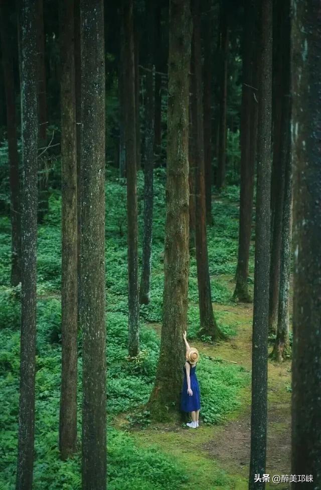 期待！邛崃市IMTA全域户外徒步道建设正式启动！