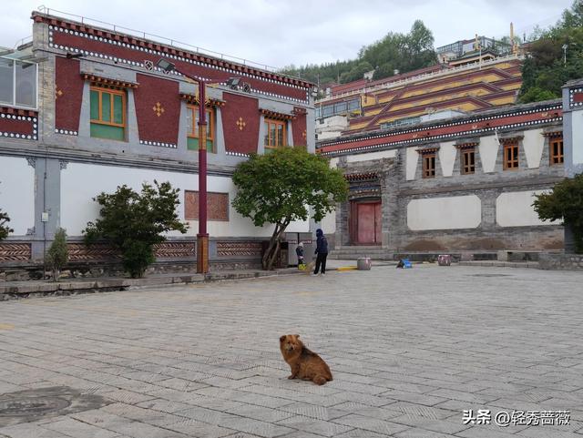 夏都西宁，最值得游玩的景点推荐