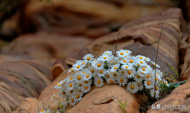 邯郸，你别太好逛了！
