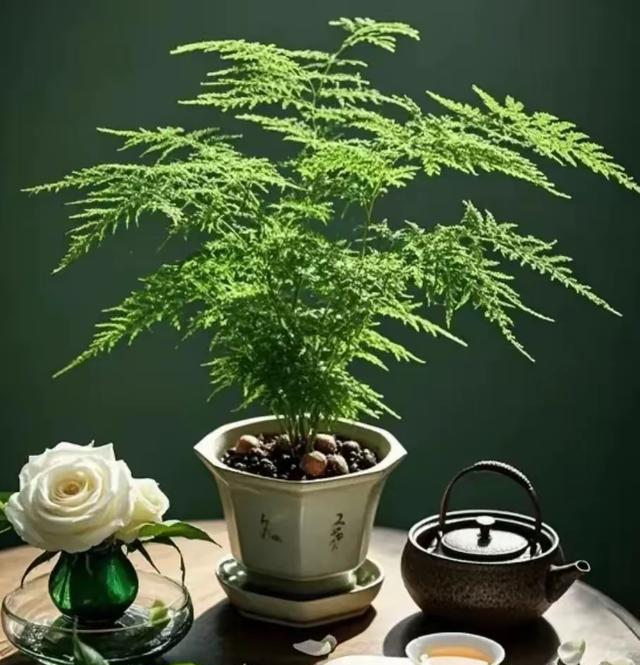 我妈坚持“不锻炼”，只靠这2个“懒办法”，70岁还能爬5楼不喘气