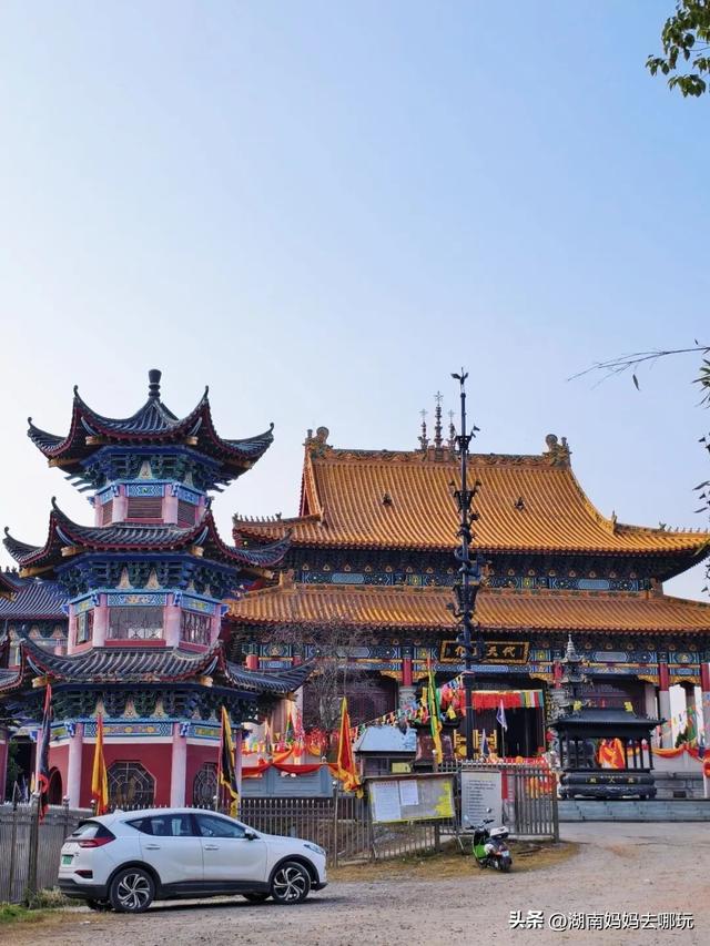 公交直达冬日限定“小东非”，带娃解锁长沙safari隐藏玩法！