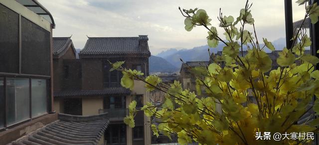 她姨的瓜子儿早饭