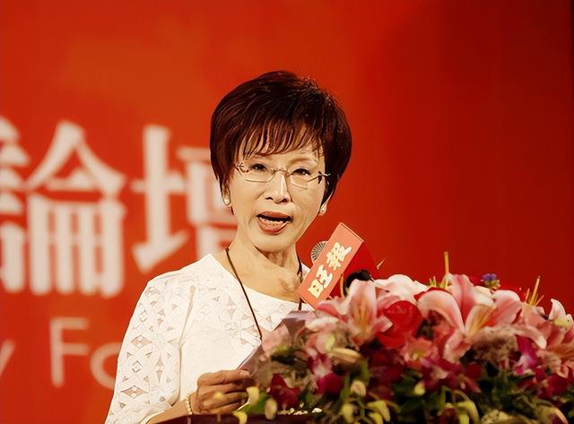 “令人费解”的洪秀柱