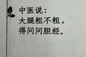 胆经与大腿粗细的秘密关系，中医为你揭晓图片