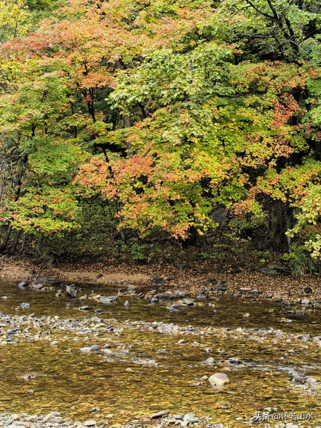 2025辽宁赏秋之旅日记(2)——游览丹东蒲石河森林公园