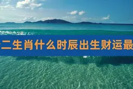 十二生肖男女出生最旺的时辰图片