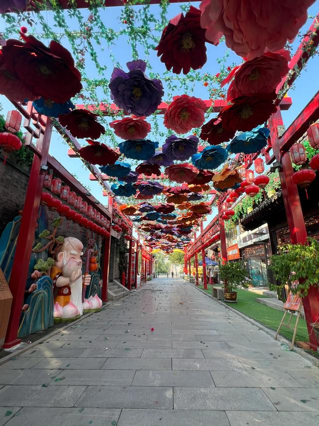 邂逅杨柳青
