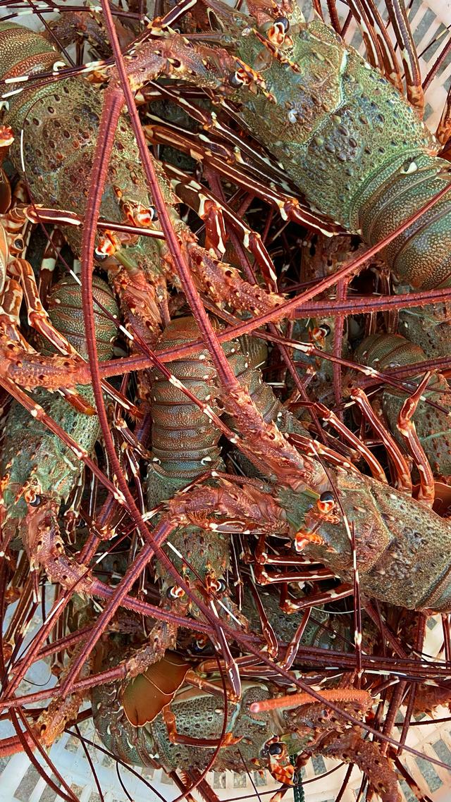 挖到了7座真正的避寒小城，游客少物价低，不冻人，超适合全家去