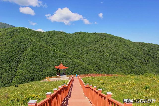 汉中深度游指南：历史、山水与熊猫的盛宴