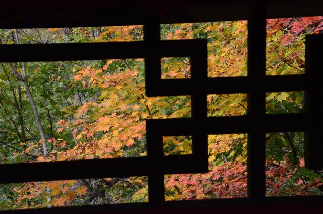 邂逅身边的绝美秋色