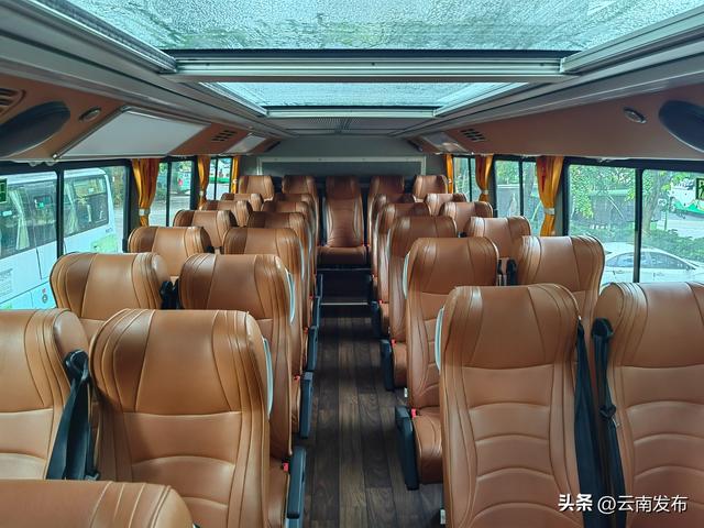 西双版纳可以坐双层观光巴士直达植物园啦