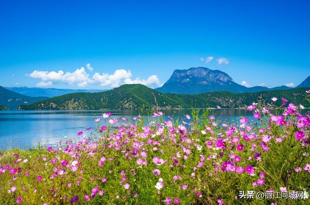 双节同庆·畅游丽江 | 这份文旅盛宴指南请收藏！