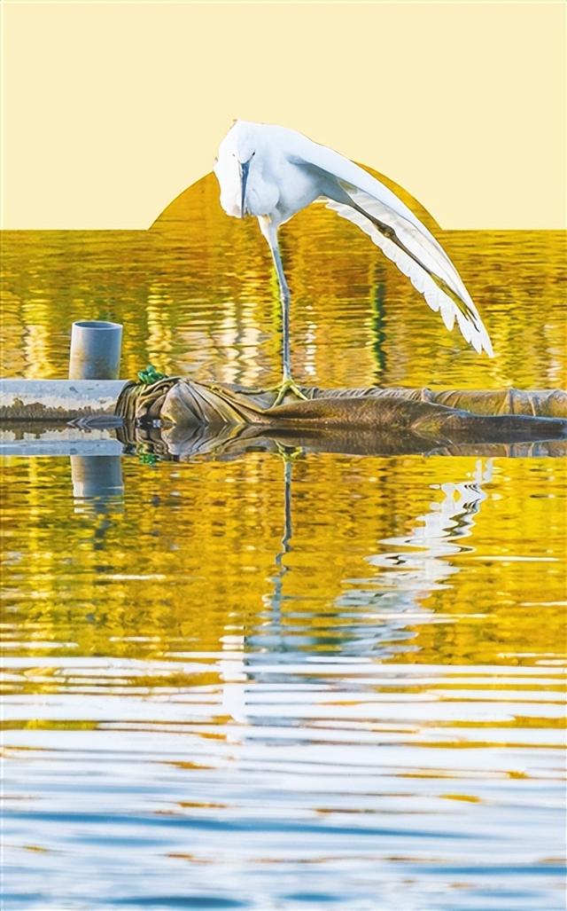 绿道漫步、体育场健身、儿童乐园遛娃……青岛张村河生态绿廊成新晋宝藏休闲游玩地